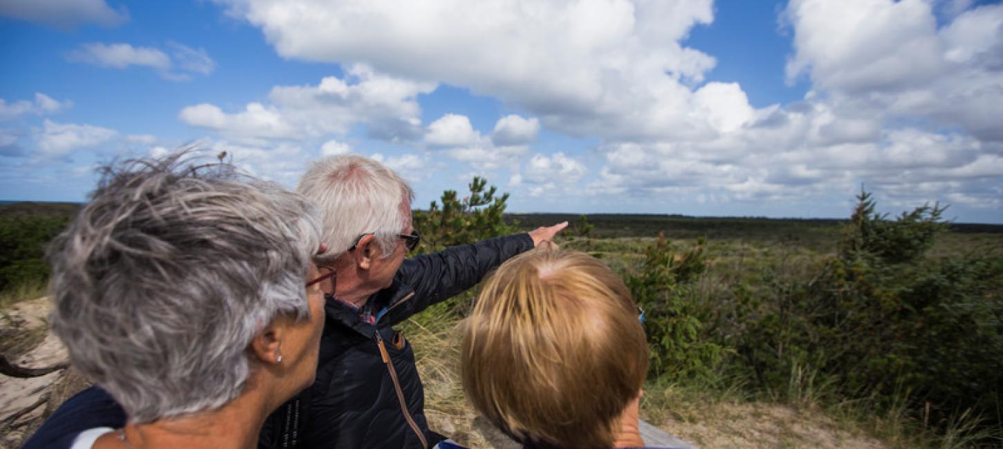 Husby Klitplantage udsigt